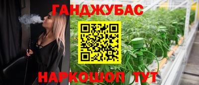 прущие крисы Будённовск