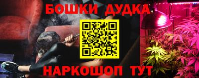 прущие крисы Будённовск